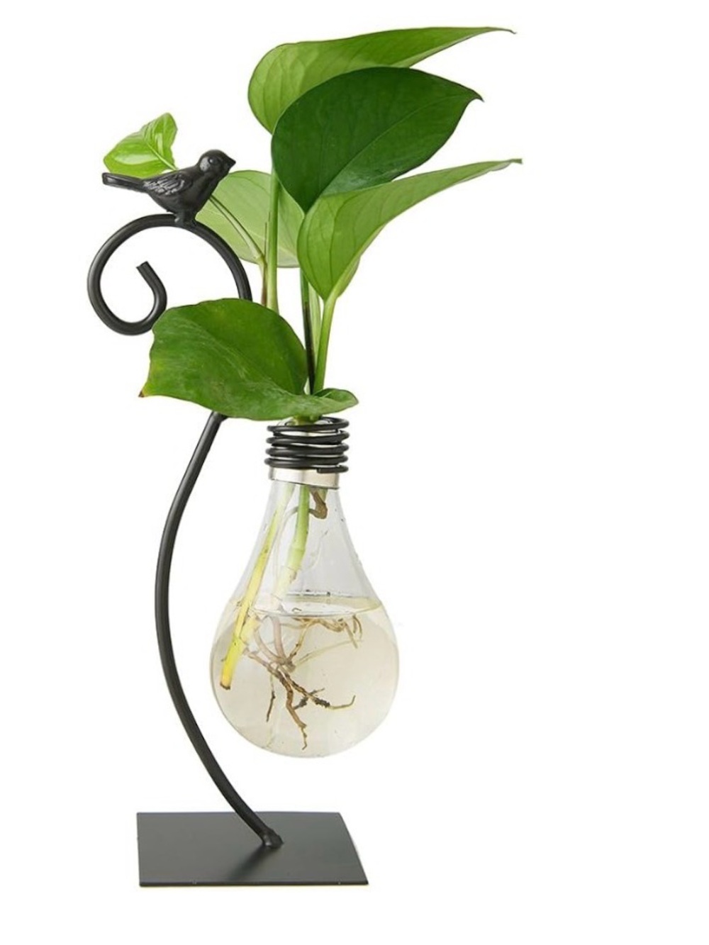 Desktop Glass Planter Hydroponics Vase,Planter Bulb Vase with Holder